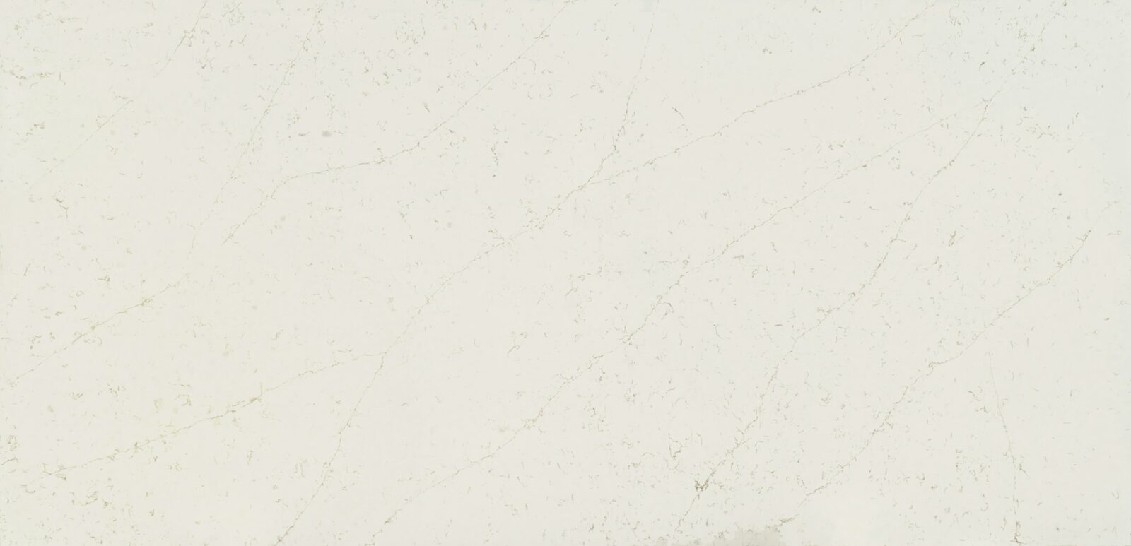 Persian White